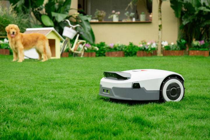 Cutting the Cord: Why ANTHBOT’s Wireless Mowers Are the Future of Lawn Care