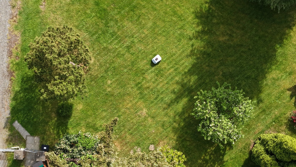 To Achieve a Beautiful Lawn, This One Article Is All You Need