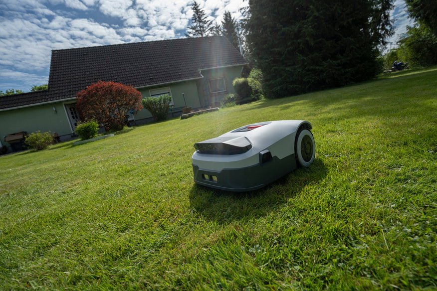 What are the top 5 most common lawn care mistakes?