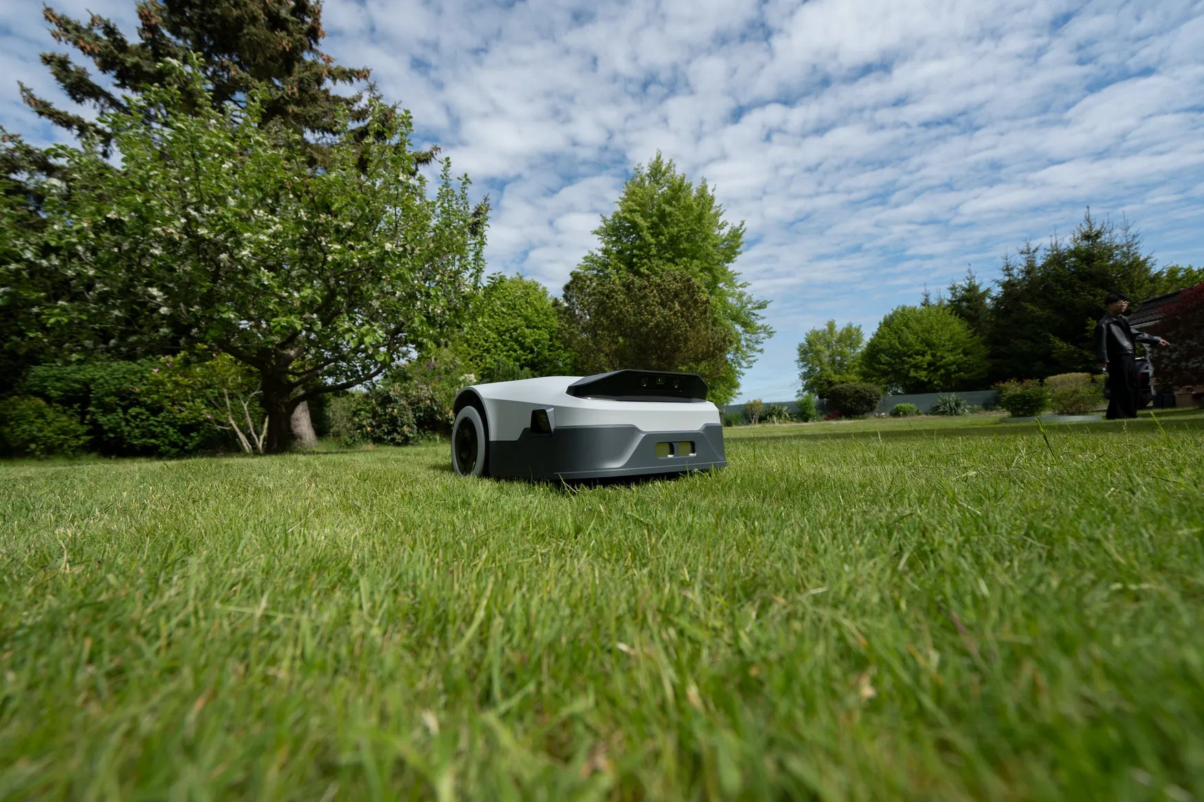 The Best Time to Mow Your Lawn: A Comprehensive Guide