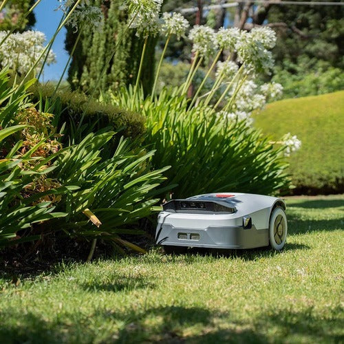 How to take care of bermudagrass scientifically?