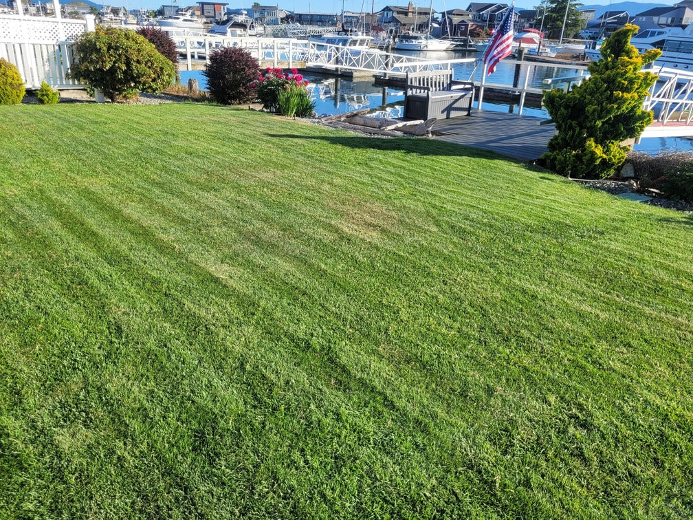 genie robot lawn mower review