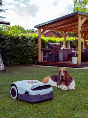 robot lawn mower