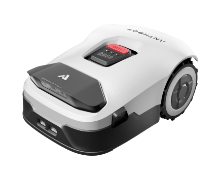 model-image